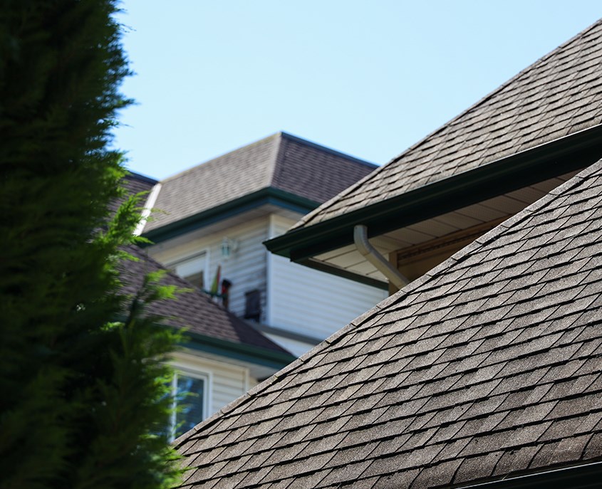 local roofers in lower township nj