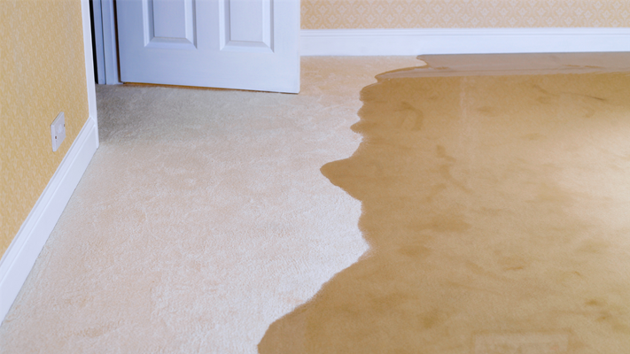 A basement experiencing flooding due to faulty gutters and poor drainage.